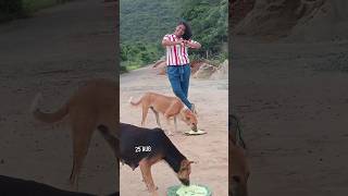 ❤️25JULY❤️🐕UNST🚫PPABLE L🤍VE STORY🐕❤️PT02❤️dogcatlovemotivationbeautifulytshortsviralvideo [upl. by Stefano]