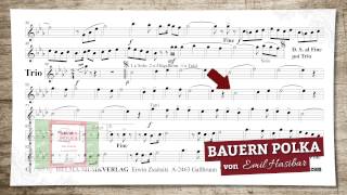 Bauern Polka [upl. by Allie]