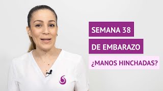 ¿Es normal tener las manos hinchadas en la semana 38 de embarazo [upl. by Leafar]