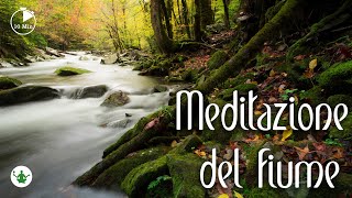 Meditazione guidata 10 minuti  Meditazione del fiume per riaccendere lenergia vitale [upl. by Neilla]