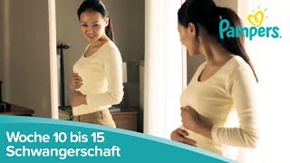 Schwangerschaftswoche 10 bis 15  Anzeichen und Symptome  Pampers [upl. by Isnan]