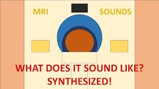 What Does an MRI Sound Like Synths [upl. by Eatnoled]