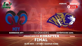 FINAL ONEFA BORREGOS MONTERREY vs AUTÉNTICOS TIGRES  Liga Mayor en Máximo Avance [upl. by Relyt]