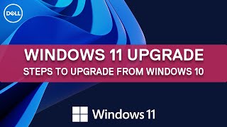 How to upgrade to Windows 11 from Windows 10  Dell Support [upl. by Eissac4]