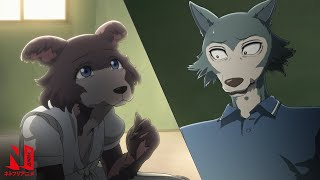 BEASTARS  MultiAudio Clip Legoshi Saves Juno  Netflix Anime [upl. by Einalem]