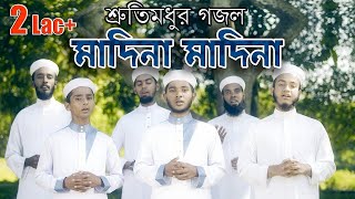 ও মাদিনা মাদিনা মাদিনা তোমার বুকে শুয়ে আছে কত শতো সাহাবি o madina madina madina [upl. by Atnovart608]