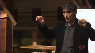 Brain Development amp Addiction with Gabor Mate [upl. by Allebasi]