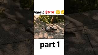 magic lnuyashiki2024film🤔 explained in Hindi  Urdu  lnuyashiki miracle man short videofails [upl. by Romona]