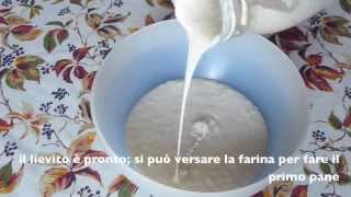 Come fare la pasta madre in due minuti [upl. by Yenwat]