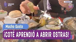 ¡Coté aprendió a abrir ostras en Curaco de Vélez  Mucho gusto 2018 [upl. by Arised843]