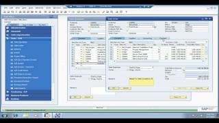 Project Management  SAP [upl. by Amr]