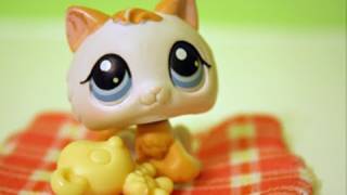 Littlest Pet Shop The Summer Camp Part 1 THE REMAKE [upl. by Daub]