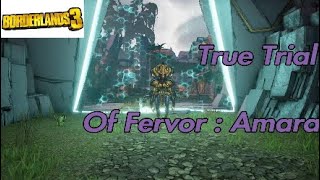 The True Trial Of Fervor  Amara  Borderlands 3 True Trials MiniEvent [upl. by Berlinda]