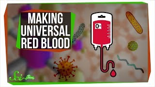 New Bacterial Enzymes Could Revolutionize Blood Donations  SciShow News [upl. by Ottillia]