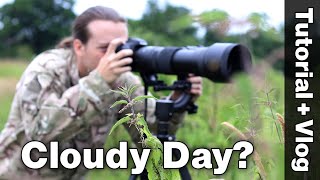 Learn how to do Wildlife Photography on a Cloudy Day  Behind the Scenes Vlog [upl. by Levison]