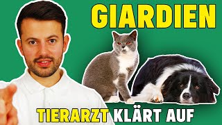 Giardien bei Hund und Katze  Was tun bei Giardiose [upl. by Azar]