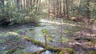 Camp Wopsononock Moshannon State Forest pennsylvania getoutside water therapy [upl. by Ifar]