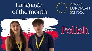 Language of the Month Polish [upl. by Venice]