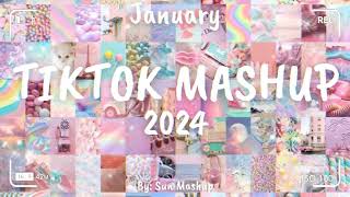 Tiktok Mashup JANUARY 🎉 2024 🎉 Not Clean [upl. by Alda]