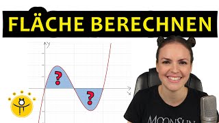 FLÄCHE berechnen INTEGRAL – Integralrechnung Flächenberechnung [upl. by Analat]