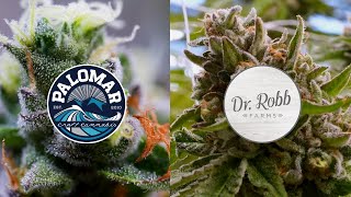 Hybrid Farms Dr Robb Farms and Palomar Craft Cannabis CannaCribs [upl. by Cooperstein]