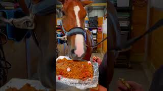 horse cake lmk if yall want recipe [upl. by Fontes]