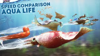 SPEED COMPARISON 3D  Aqua Life 🐠 [upl. by Sunny]