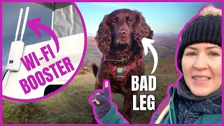 My DOG falls down a DITCH while hiking amp I test an INTERNET BOOSTER PART 2 Fforest Fields  VLOG 7 [upl. by Ettenan]