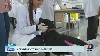 Agendese Mutirão de Castração para Cães e Gatos em Dezembro [upl. by Mcgill475]