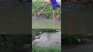 Unclog Multi Culvert Drain culvert unclog drain remove satisfyingshorts [upl. by Alejoa]