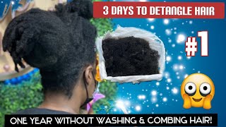 One year without washing amp combing hair [upl. by Carthy]