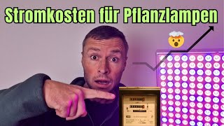 Wie teuer ist der Strom für Pflanzlampen wirklich 💸🌱 [upl. by Werner412]