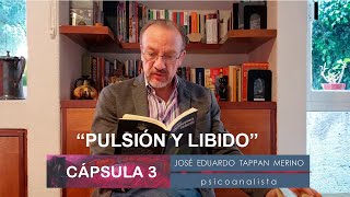 Cápsula 3 Pulsión y libido  José Eduardo Tappan [upl. by Efthim188]