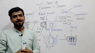 DEVELOPMENT IN DROSOPHILA Genetic Basis of development in Drosophila  Easy Concept [upl. by Kondon]