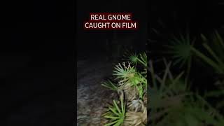 Real GNOME ATTACK caught on TAPE gnomes scary shortfilm cryptids monster [upl. by Solnit296]