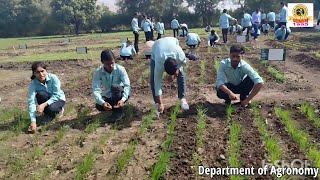 Exploring the Crop Cafeteria Handson Agricultural Learning by Students [upl. by Mad]