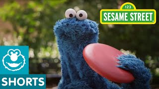 Sesame Street Catch allnew episodes of Sesame Street [upl. by Babette]