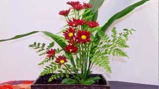 Ikebana International Chapter 42 Exhibit [upl. by Ahsemrac]