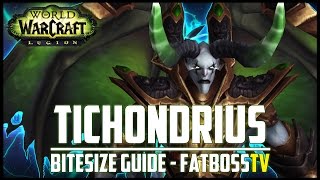 Tichondrius quotBitesizequot Normal  Heroic Guide  FATBOSS [upl. by Yenterb]