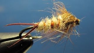 Early brown stonefly nymph [upl. by Harriman]