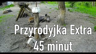 Przyrodyjka extra 45 minut [upl. by Nessi]