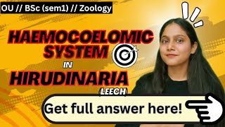 haemocoelomic system in leech  type study of hirudinaria BSc Zoology arsh bionyms  humera [upl. by Francis]