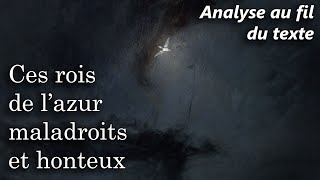 BAUDELAIRE 🔎 Les Fleurs du Mal  LAlbatros Analyse au fil du texte du poème [upl. by Vyse]