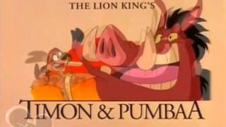 TIMON amp PUMBAA HINDI INTRO SONG HD 1080p [upl. by Nivle]