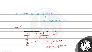 What type of regulation is exhibited by the lac operon through the action of the repressor prote [upl. by Asiela]