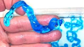 Instant Worms Polymer Kit  Incredible Science [upl. by Aushoj]