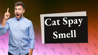 Why does my cat stink after being spayed [upl. by Haisa]