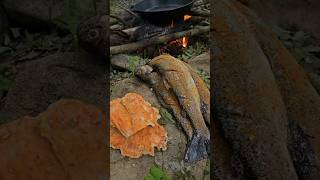 Trout Catch amp Cook and Chicken of the Woods with Doug [upl. by Tiram]