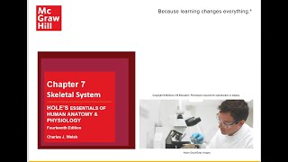 Holes A and P Skeletal System Part 1 [upl. by Ahsineg831]