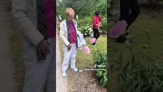 Peony Season is in Bloom 🌸🌸 ShineEveryday seniorliving seniorlivingcommunity storypointgroup [upl. by Juliette]